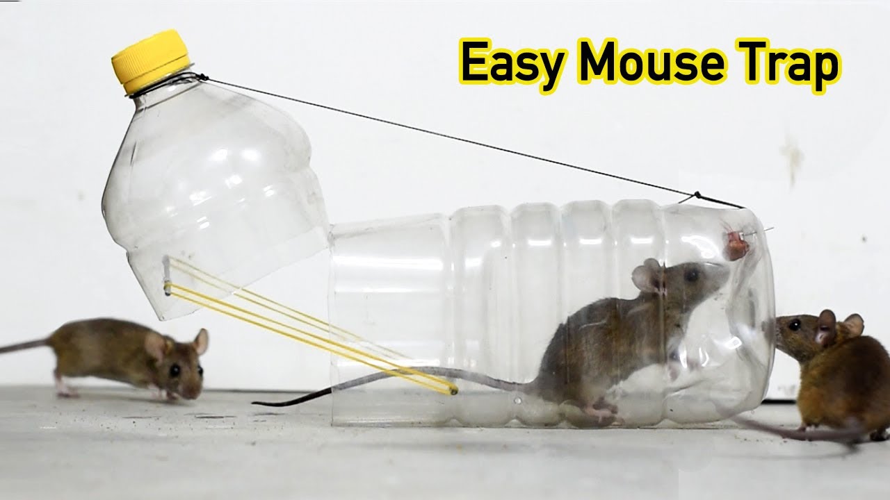 Water Bottle Mouse Trap /Rat Trap