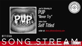Video thumbnail of "PUP - Never Try"
