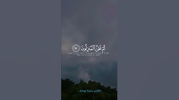 ايات من سورة الواقعة كروما || حالات واتس قران كريم || القارئ حمزة يوسف Hamza Yousef