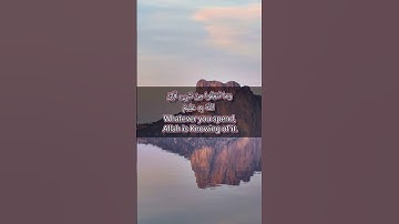 قرآن الكريم سورة آل عمران الآية 91The Holy Quran, Surah Al Imran, Verse 91 #قران_كريم #انقذوا_غزة