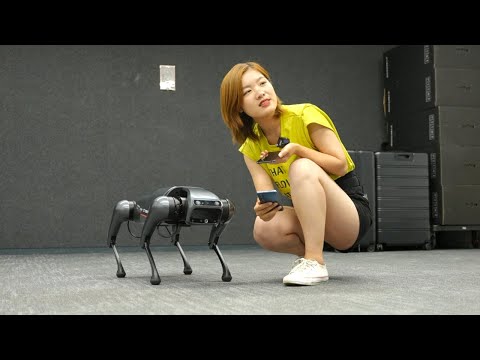 Xiaomi CyberDog Hands-on: Boston Dynamics Spot Copycat?! [English]