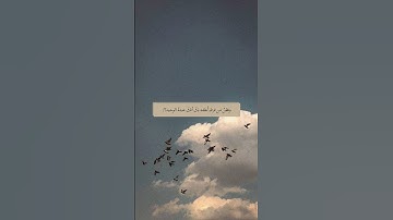 #قران_كريم #سورة_الأنبياء #القارئ #بلال_دربالي
