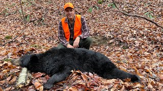 How to HUNT BLACK BEARS without HOUNDS or BAIT