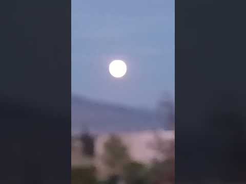 Ποιητολόγιο: Κυνηγώντας το
