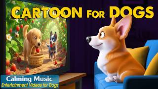 Dog Cartoon: All-Day Videos to Entertain & Prevent Boredom for Dogs Home Alone – Best Music for Dogs