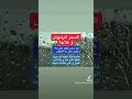 ماهو السحر المرشوش و كيف الشفاء من السحر المرشوش