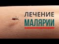 Лечение малярии, вызванной plasmodium falciparum. Как лечить &quot;африканскую&quot; малярию