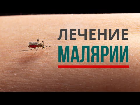 Видео: Почему Plasmodium vivax практически отсутствует в Африке?