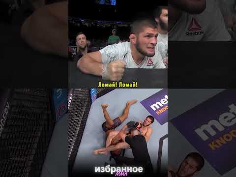 Хабиб Нурмагомедов в углу Ислама Махачева #ufc311 #mma #islammakhachev
