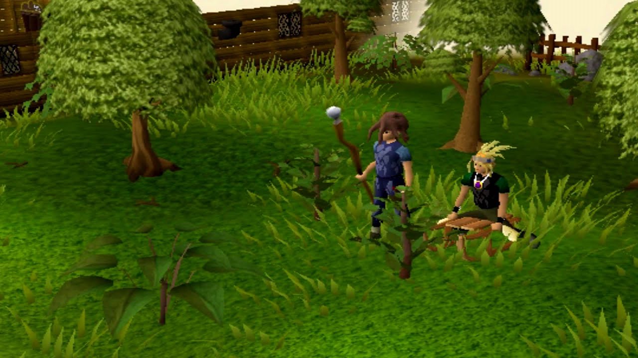 RuneScape glitches Part 4 YouTube