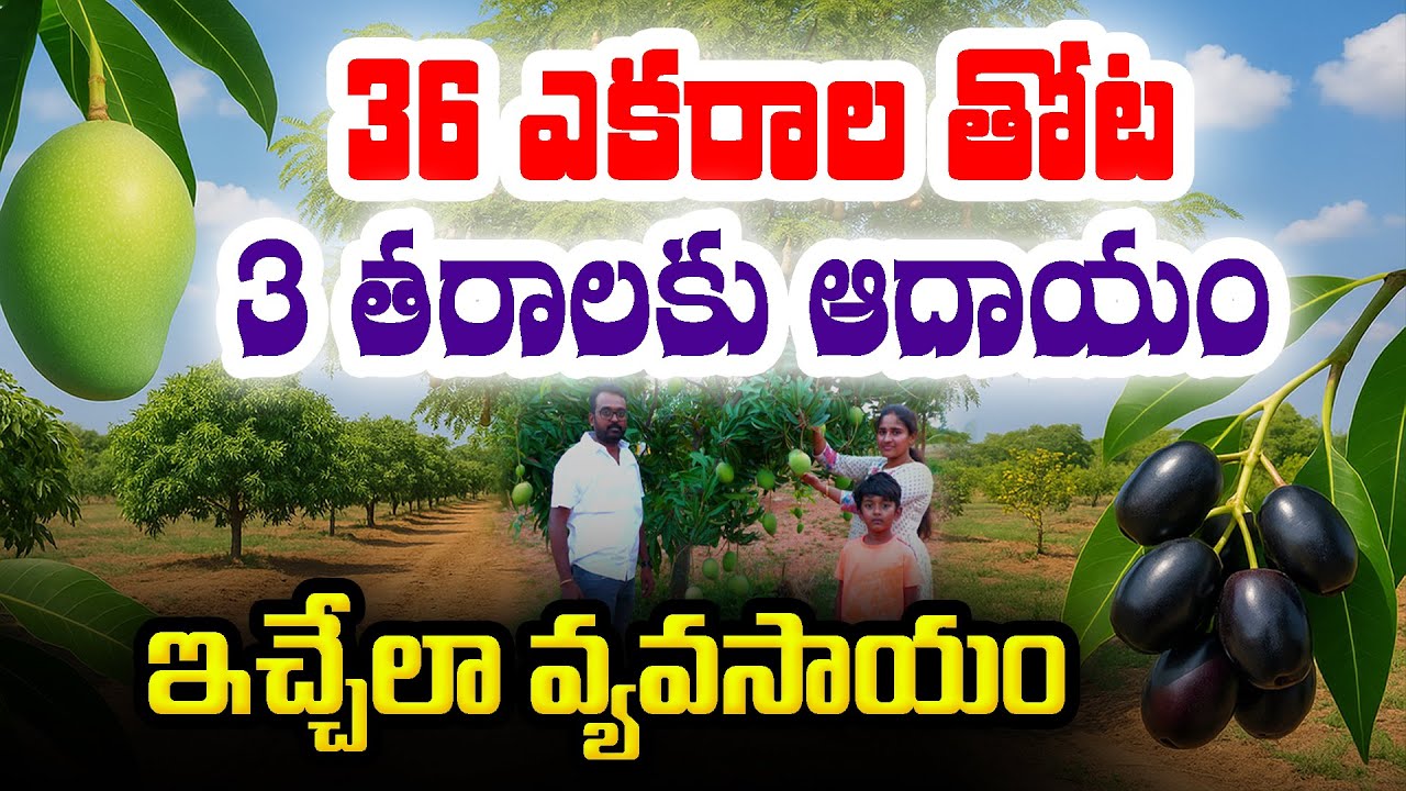 Выращивание различных фруктов | Выращивание натуральных фруктов | #GV Karthik #fruit #farming @Ra...