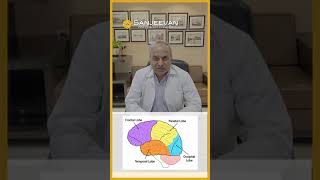 Which Part Of Brain Effects Vision | Vision Development | Damage and Treatment