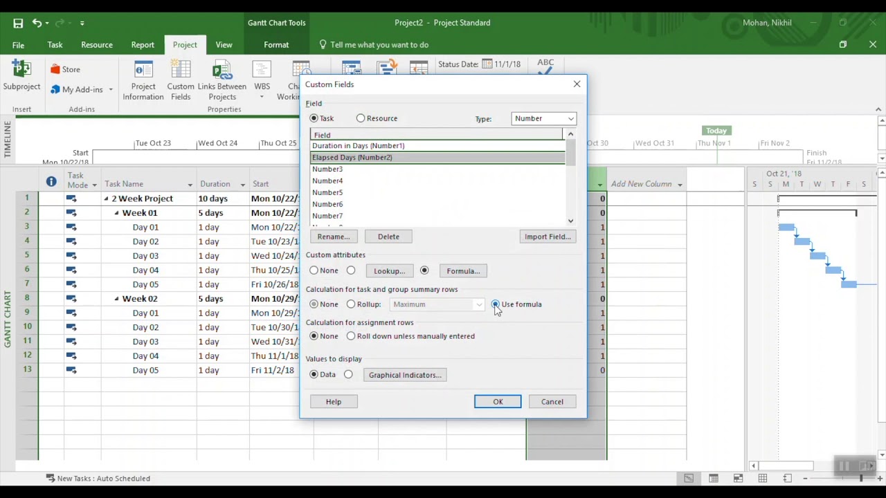 Microsoft Project Planned Vs Actual Gantt Chart