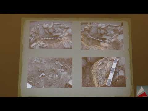 მ. ძნელაძე - თბილისის ზღვის ტერიტორიაზე ჩატარებული არქეოლოგიური კვლევების ანგარიში