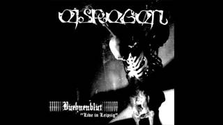 Eisregen - Schwarzer Gigolo (live)