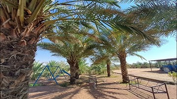 تلاوه جميله للقارئ ياسر سلامه #تلاوات #قرآن #راحة_نفسية#اكسبلور#تلاوة_خاشعة#سورة#السعودية#قران_كريم