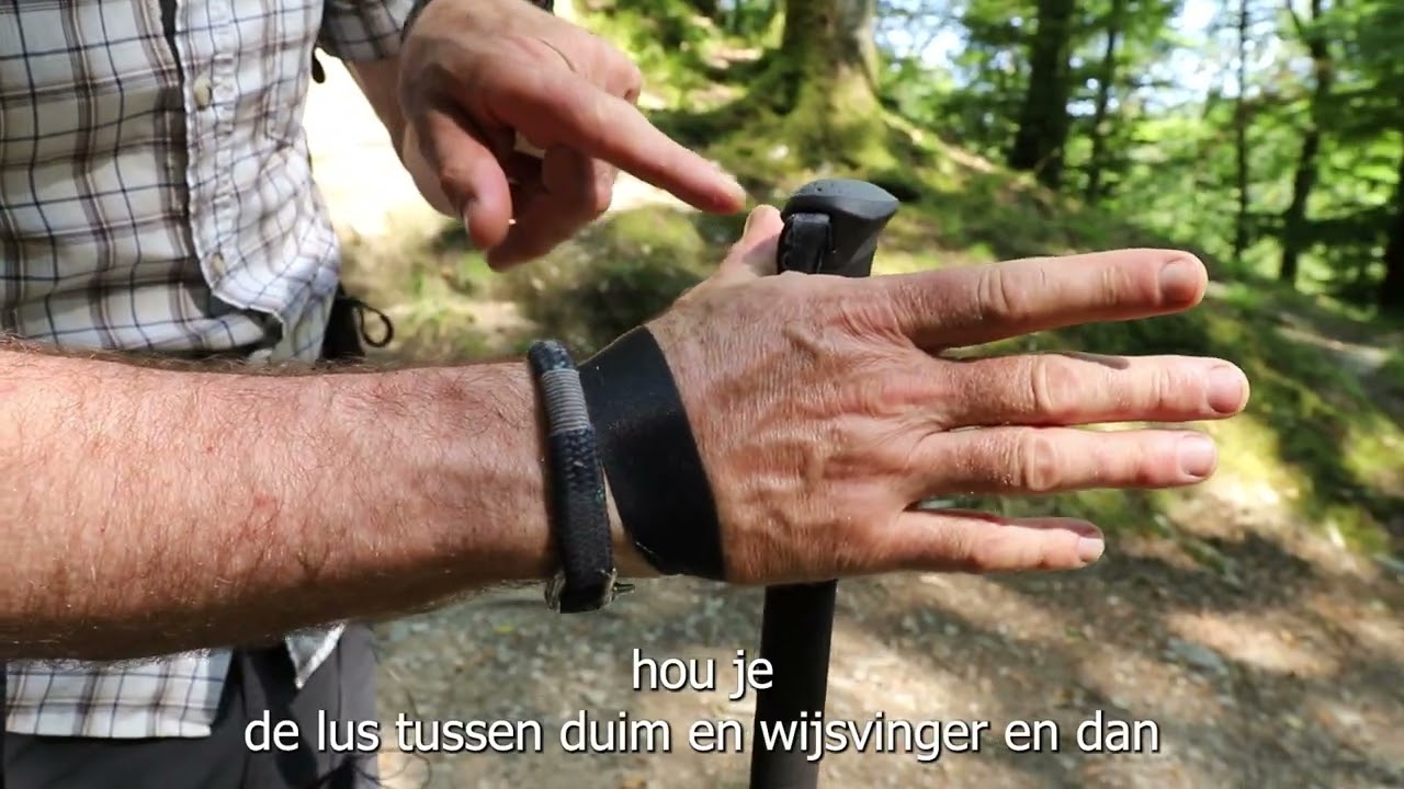 Trekkingstokken: De ultieme gids voor aanschaf en gebruik