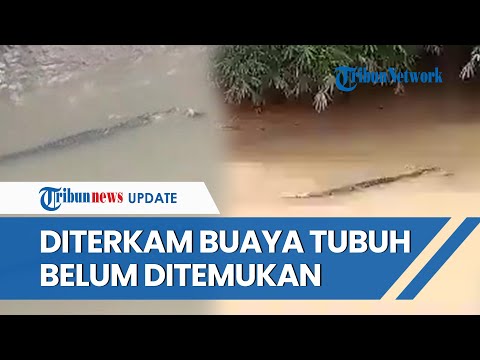 Warga Idaman Pandeglang Diterkam Buaya, Hilang Diseret ke Dalam Sungai Cilemer saat Cari Kerang