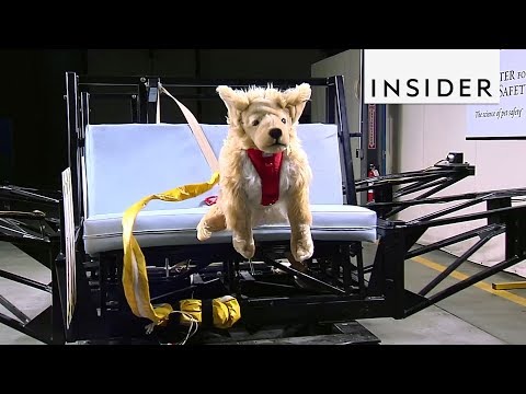 How Pet Product Are Tested For Safety