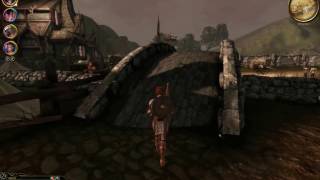 : Dragon Age: Origins -  /