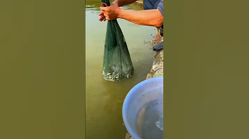New Fishing Jaal Hai Trending Fishing Fish Newjaal 