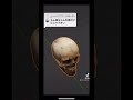 蘭姉ちゃん#shorts #tiktok #骨格標本 #いのししの人#名探偵コナン