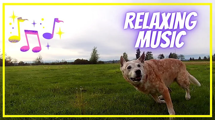 Teasdale Park to a SECRET TRAIL ~ Relaxing Virtual...
