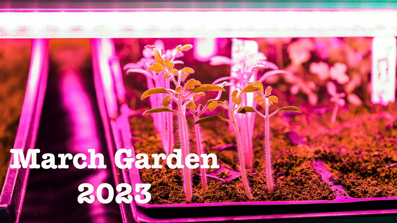 March Garden Tour 2023 | Garden Tour 2023 | Zone 6B - YouTube