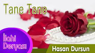 Hasan Dursun - Tane Tane Resimi