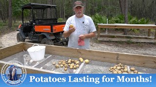 How to Harvest and Store Potatoes So They Last for Months