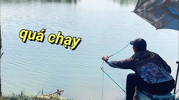 cần handing nhẫn thế hệ 2 đụng độ bầy trôi điên hồ bàu tràm