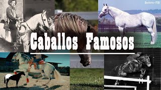 Los 10 Caballos Mas Famosos De México De Todos Los Tiempos Parte 1 -Del Cerro Soy