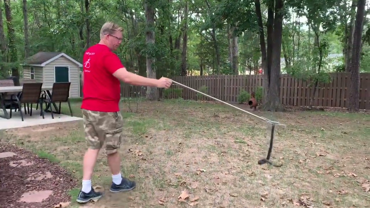 Rat Snake Removal with Snake Tongs