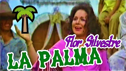 La palma (video musical de Flor Silvestre) HD