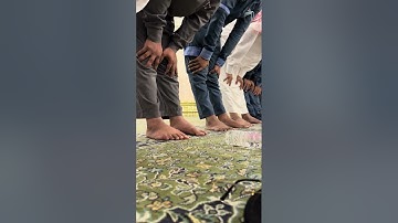 خواتيم سورة النمل لفضيلة الشيخ #عبدالمحسن_القاسم من صلاة الفجر ليوم الثلاثاء 7 جمادى الأولى 1445 هـ