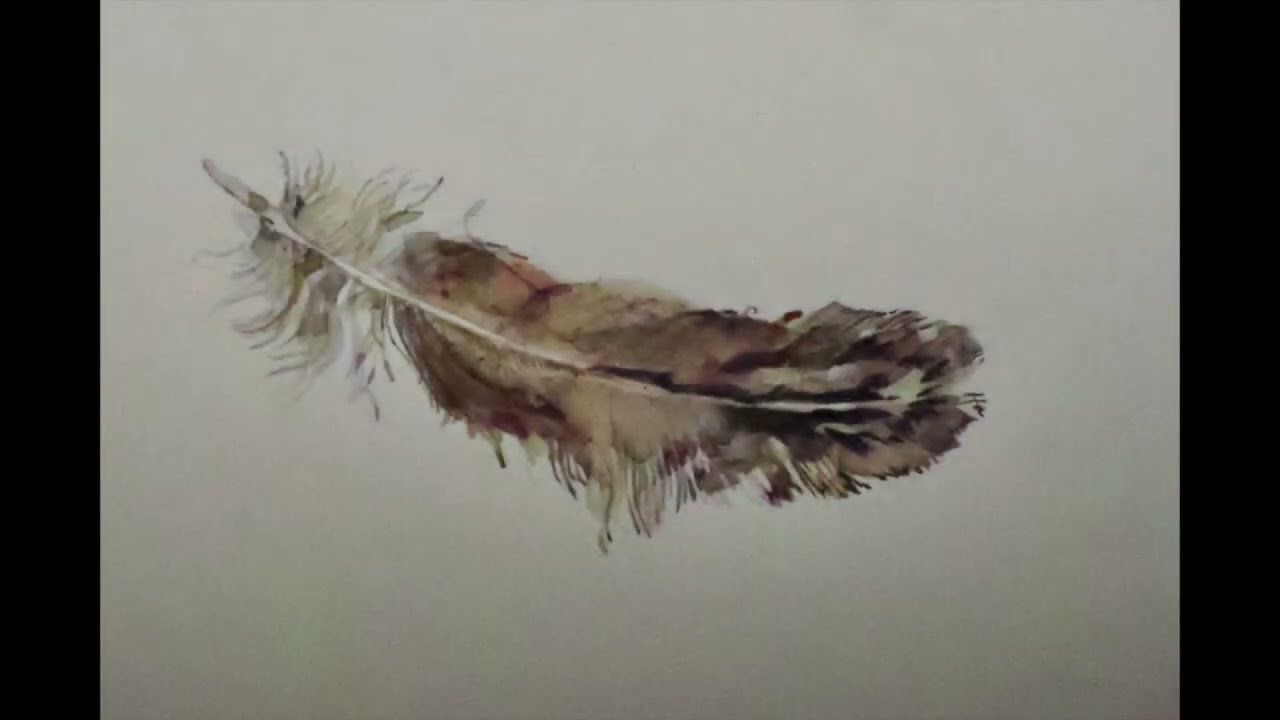 Oxford birds