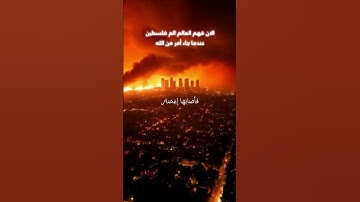 الان فهم الناس ما يحدث في فلسطين بعد أن جاء أمر الله | سورة البقره | محمد اللحيدان