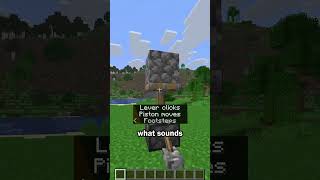 Parrot secret use