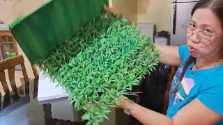 How To Make A Rainforest Diorama In A Shoebox @Momjud&kiddos How To Make A Rainforest Diorama In A Shoebox @Momjud&kiddos