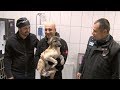 Puppy adopted by police diver after being rescued from frozen lake