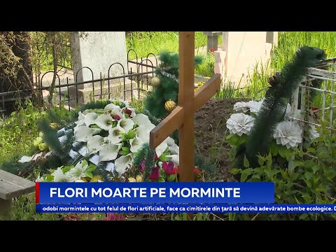 Video: Ce Flori Pot Fi Puse Pe Mormânt