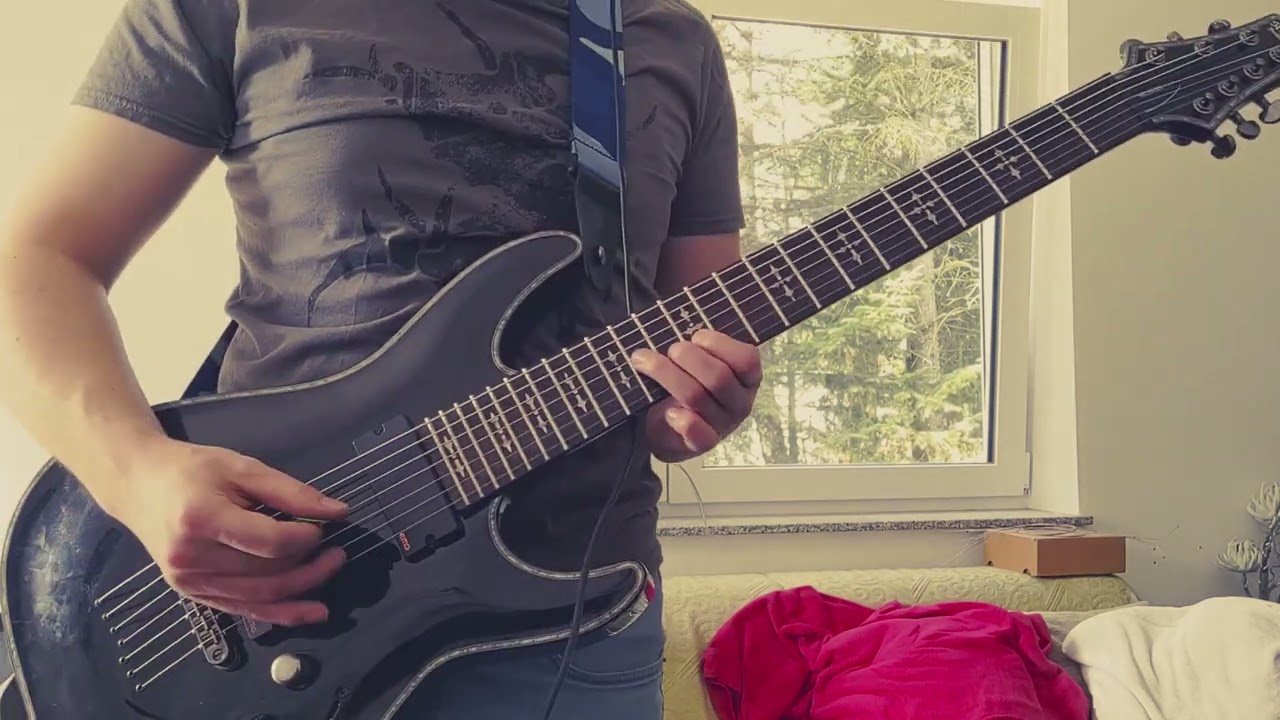 Touché Amoré - Flowers And You (guitar cover)