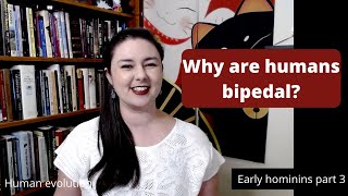 Why are humans bipedal?