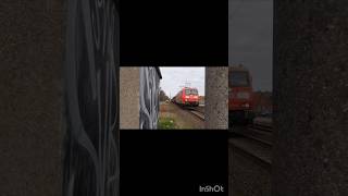 185 004 komt langs een overweg in Leer met een gevarieerde wagens #train #trainspotting #treinleven