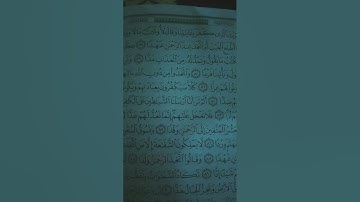 سوره مريم الآيه(77) القارئ عبد الرحمن مسعد