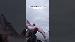 вот это ТРАФЕЙ 😮