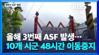 올해 3번째 ASF 발생…접경지 10개 시군 48시간 이동중지 / KBS  2024.05.22.