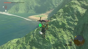 [DAY 737] of finding one korok seed in TotK everyday until we get them all