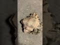 20 сентября 2023 г.