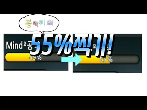 공략이의 55%찍기!